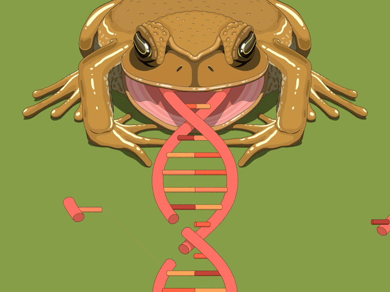 Pen & Paper: Jaedoo Lee