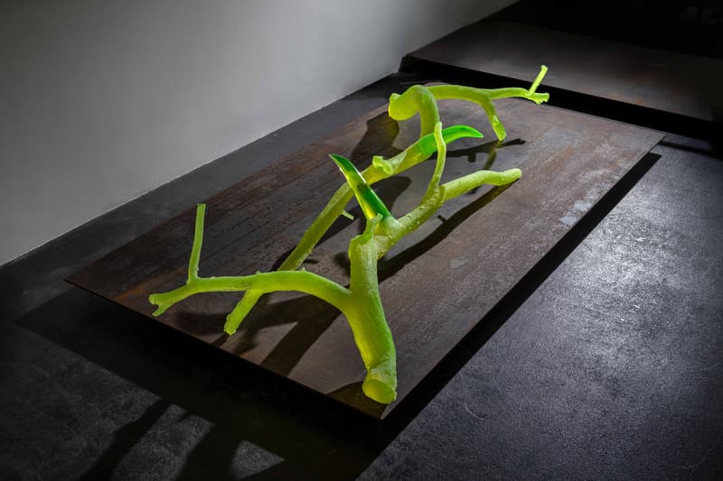 after human exhibition alice zucca