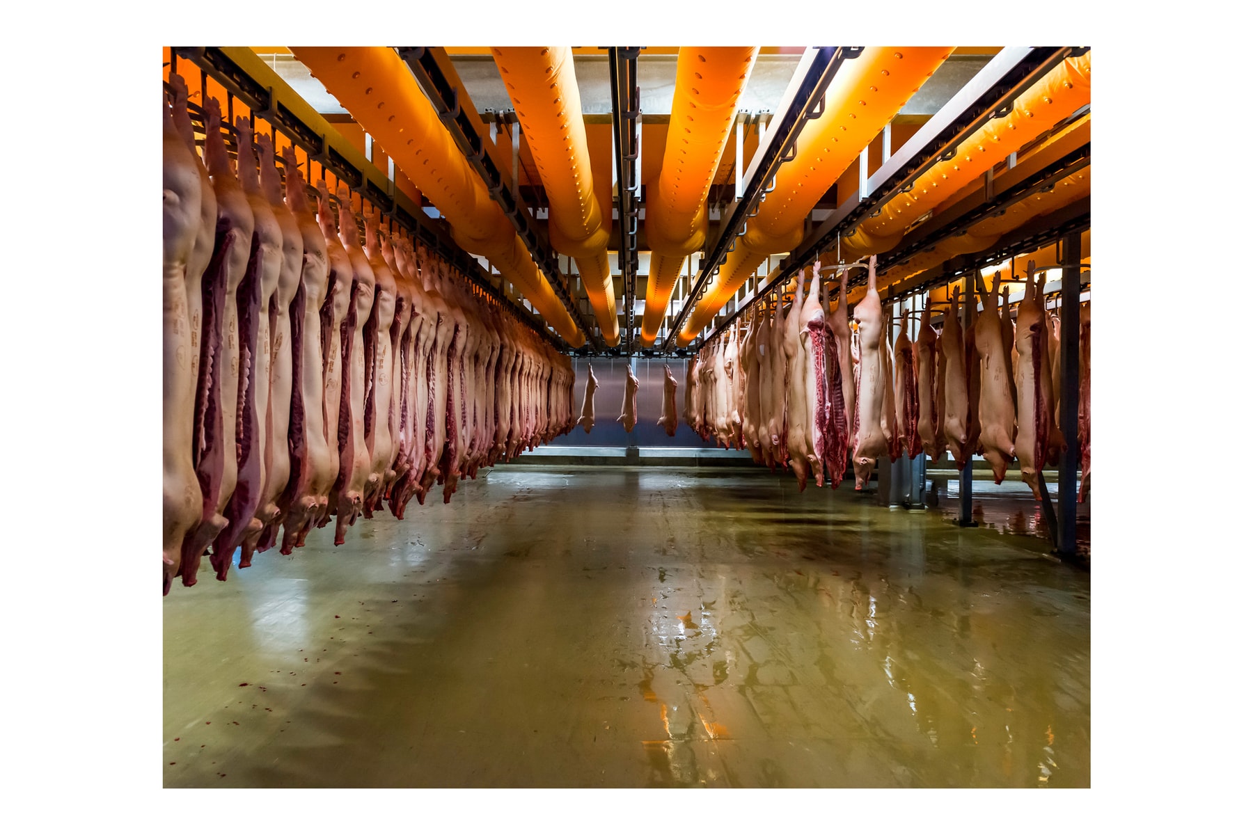 alastair philip wiper through the lens building stories nike photography