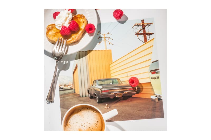 Anastasia Samoylova Adaptation Saatchi Gallery London Solo Exhibition Photography Art Artworks