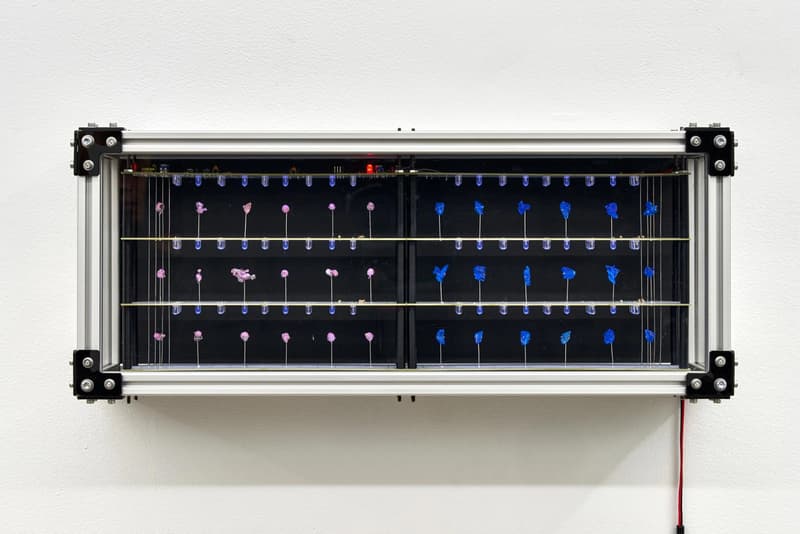 Brian Oakes Solo Exhibition SEED Blade Study Gallery New York City Armory Show Gramercy Prize Art Artworks