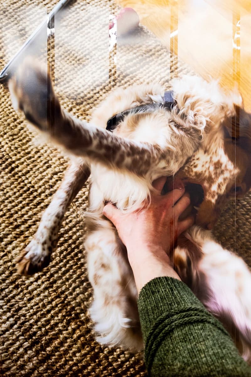 'Camera Roll Orgy' Features Hidden Gems by Renowned Photographers