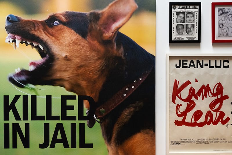 Collectors: Cali Thornhill DeWitt