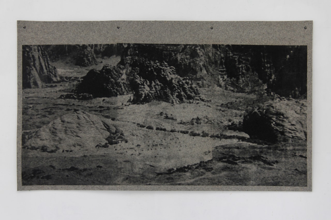 Collectors: Emilia Yin