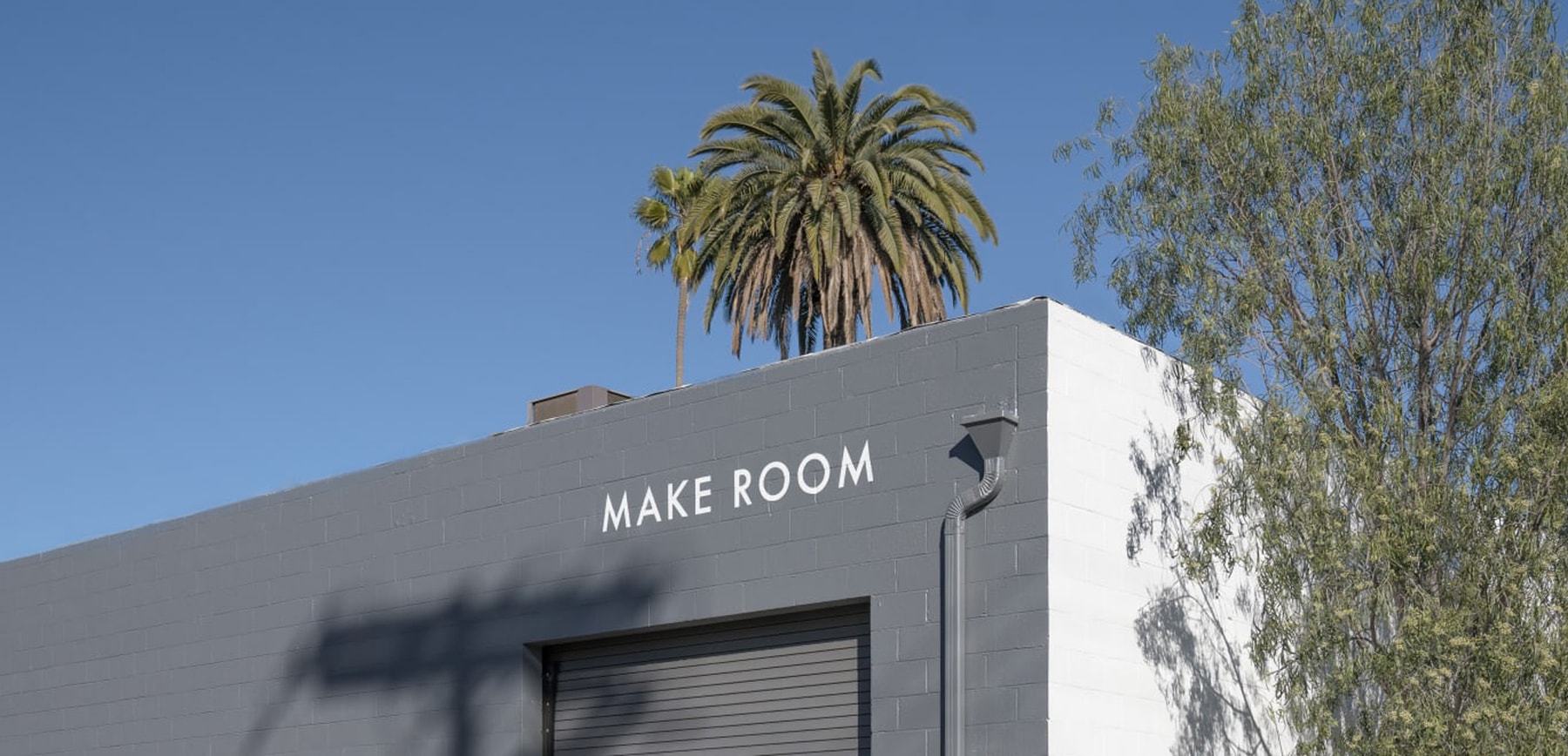 Collectors: Emilia Yin