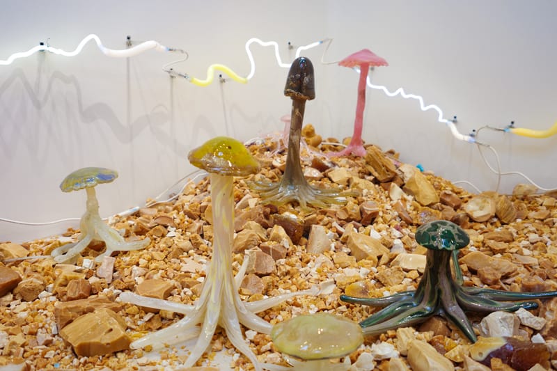 Collectors: Hannah Traore