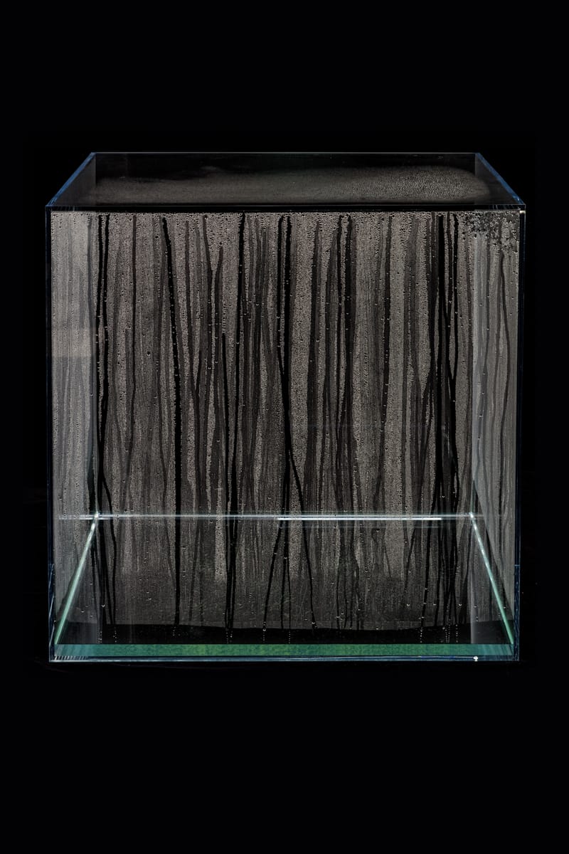 Collectors: Jarl Mohn