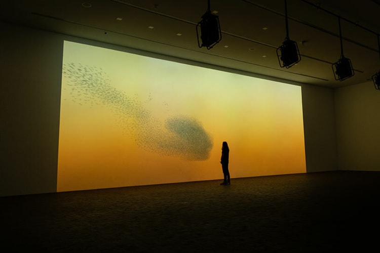 DRIFT Showcases 'Living Landscape' at LUMA Arles