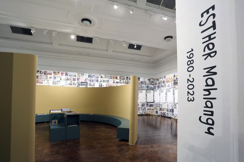 Then I Knew I Was Good at Painting: Esther Mahlangu bmw exhibition iziko museums of south africa