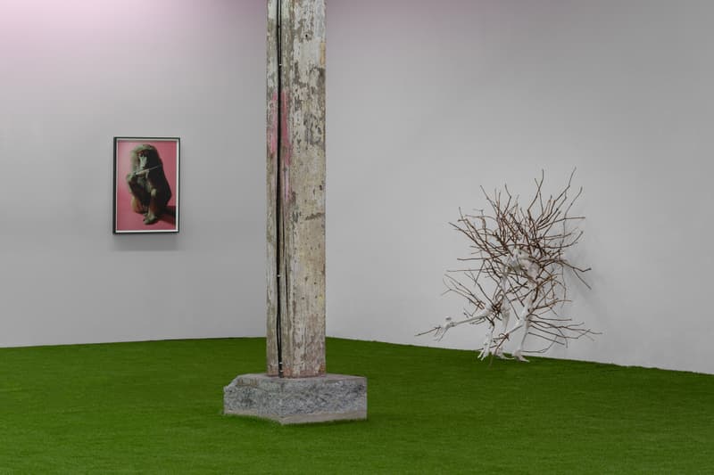 Flowers of Romance Charlie Fox Group Exhibition Lodovico Corsini Brussels Art Artwork