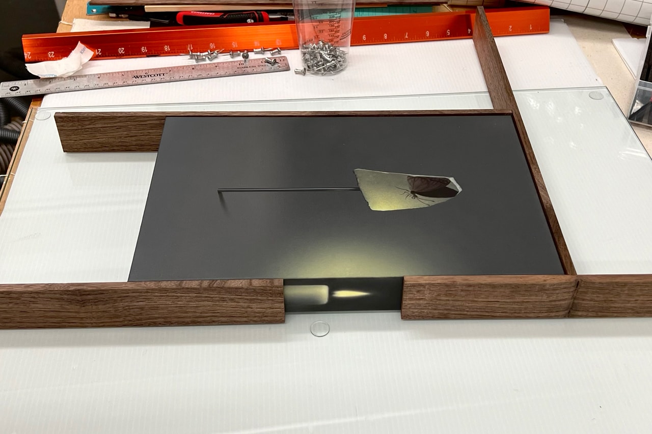 Hypeart Visits: Dabin Ahn