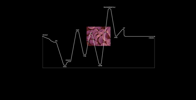 Ill-Studio GENERAL_INDEX Slam Jam REAL LIFE ALGORITHM