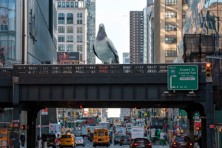 Giant Pigeon Sculpture to Land at the High Line in New York