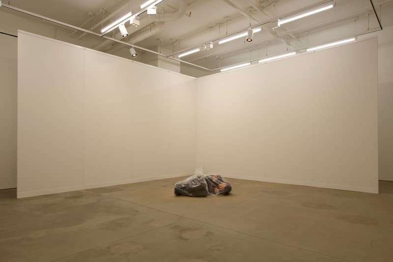 Josh Kline Social Media Lisson Gallery Exhibitions Art Artworks New York