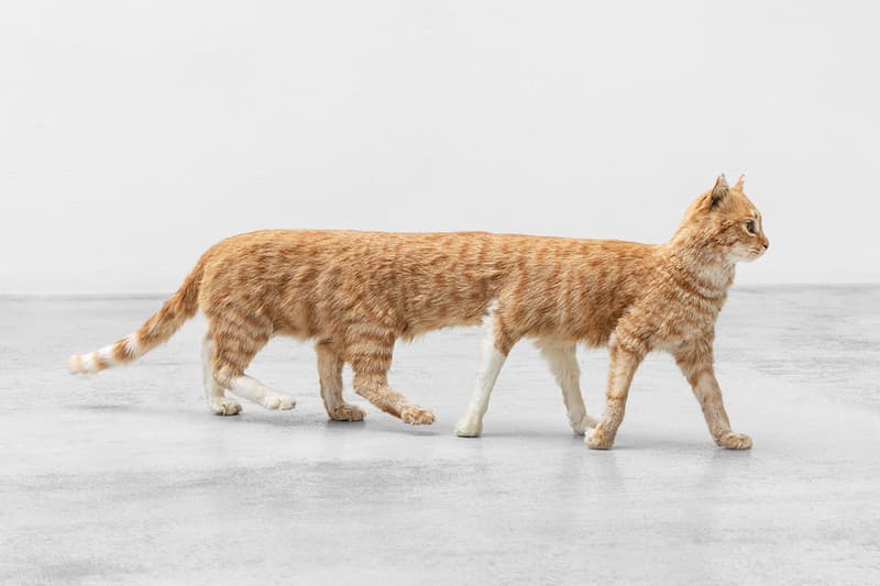 Kunsthal Charlottenborg Poetics of Encryption Exhibition