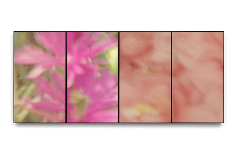 Must-See Booths at Frieze Los Angeles 2023