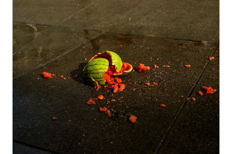pieter hugo californian wildflowers jonathan carver moore photography exhibitions san francisco