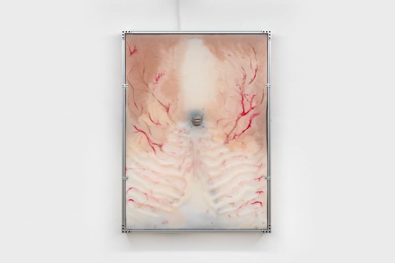 Public Gallery To supplement the fragment Exhibition