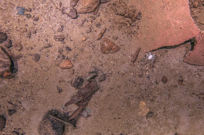 RMS Titanic Diana of Versailles Bronze Statue Recovery