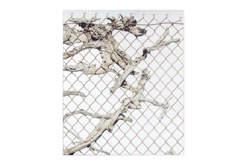 Sayre Gomez Old Growth Mirror Artwork JRP Editions