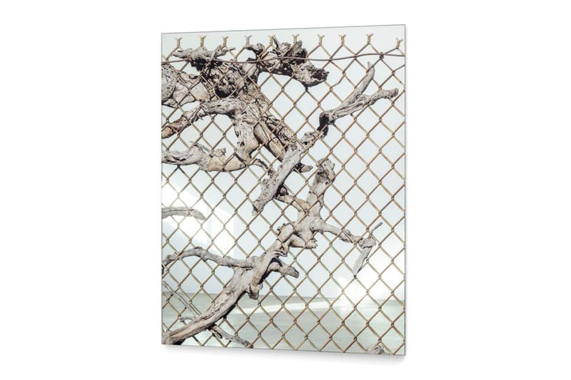 Sayre Gomez Old Growth Mirror Artwork JRP Editions