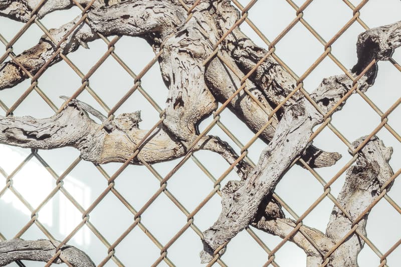 Sayre Gomez Old Growth Mirror Artwork JRP Editions