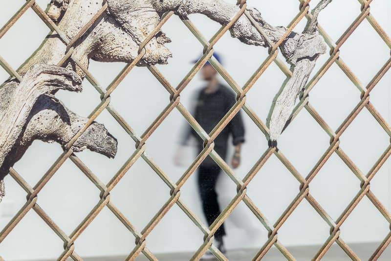 Sayre Gomez Old Growth Mirror Artwork JRP Editions