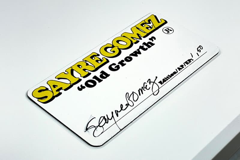 Sayre Gomez Old Growth Mirror Artwork JRP Editions