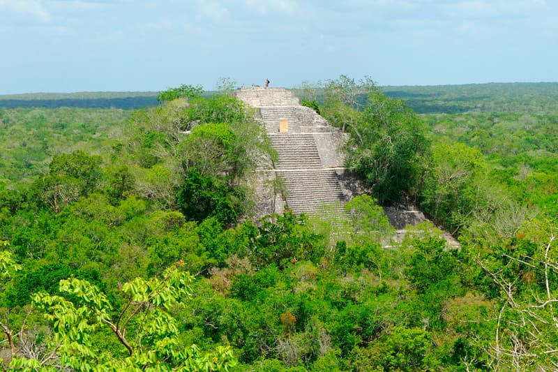 Students Accidentally Discover Ancient Mayan City 