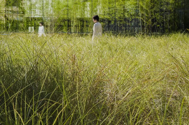 teamLab 'Field of Wind, Rain and Sun’ Exhibition Higashiosaka Info  “Enso of the Sun" 'A Cafe in the Field of the Can Can Factory'