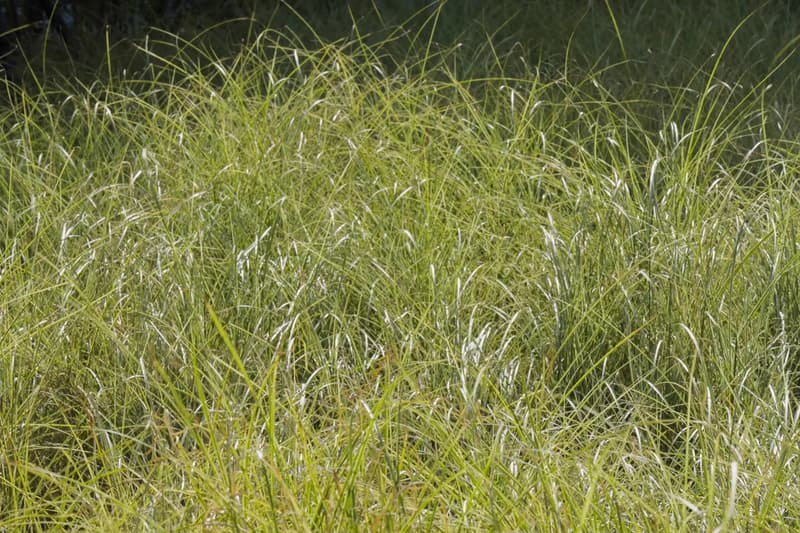 teamLab 'Field of Wind, Rain and Sun’ Exhibition Higashiosaka Info  “Enso of the Sun" 'A Cafe in the Field of the Can Can Factory'