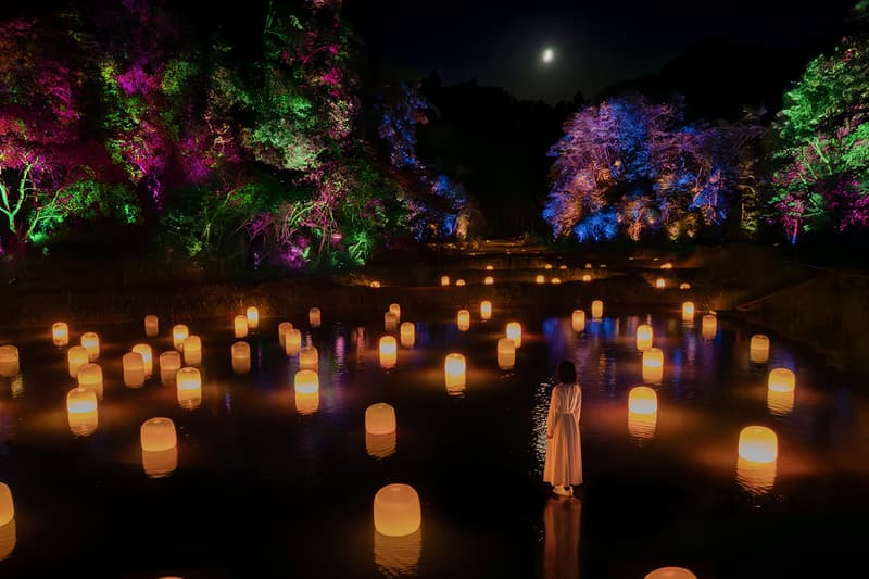 teamLab: Hidden Traces of Rice Terraces Ibaraki Info