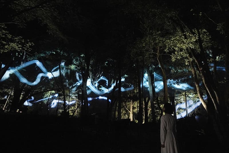 teamLab: Hidden Traces of Rice Terraces Ibaraki Info