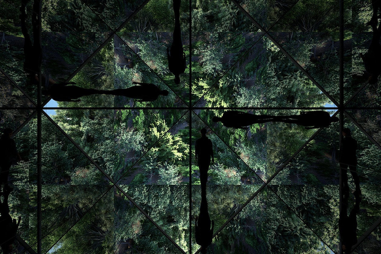 teamLab: Hidden Traces of Rice Terraces Ibaraki Info