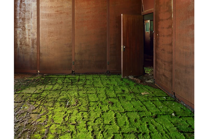 Through The Lens: Andrew Moore