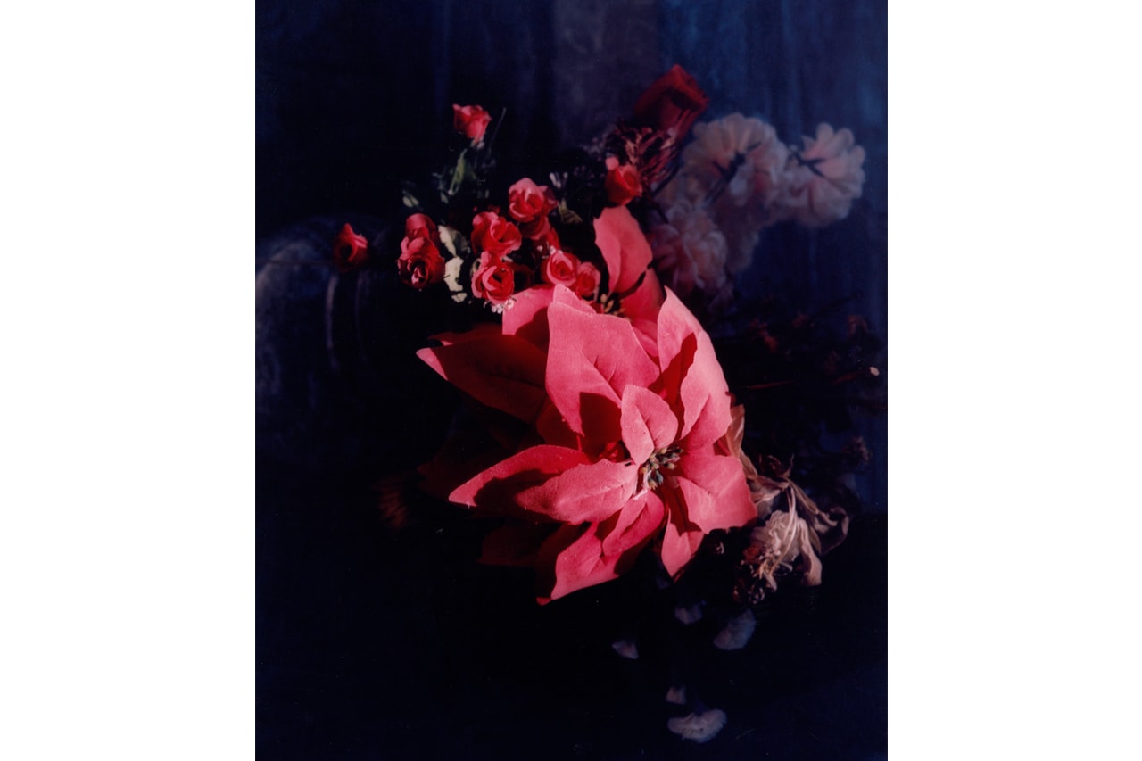 Through the Lens: Theo Cottle