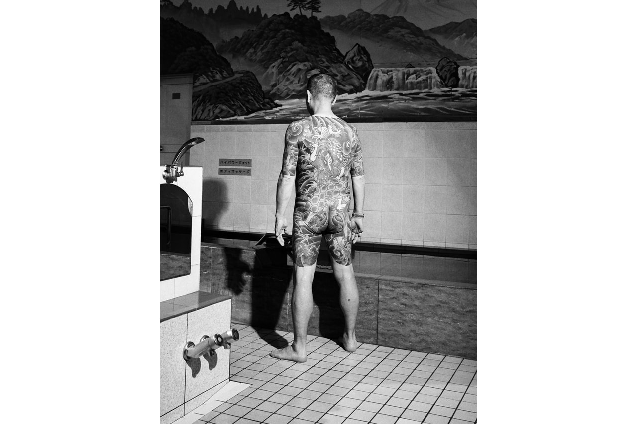 Through the Lens: Theo Cottle