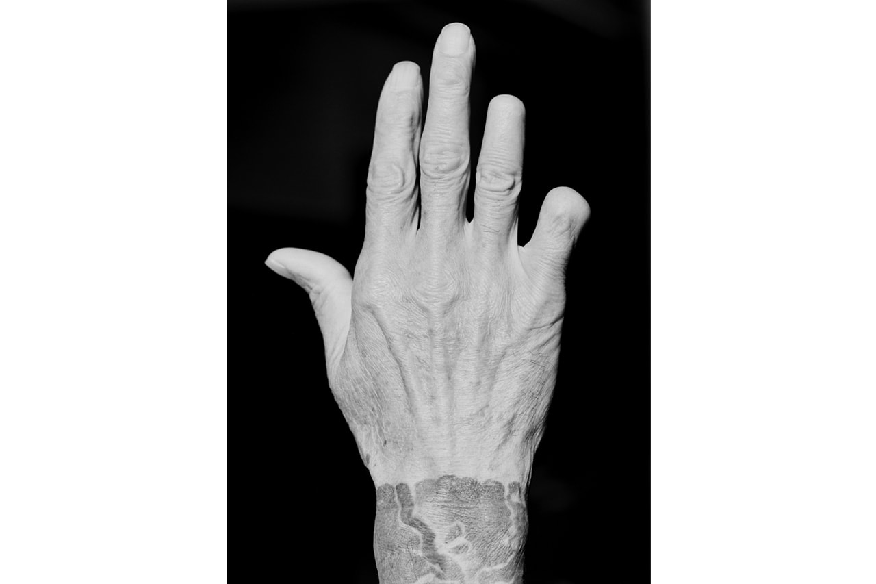 Through the Lens: Theo Cottle