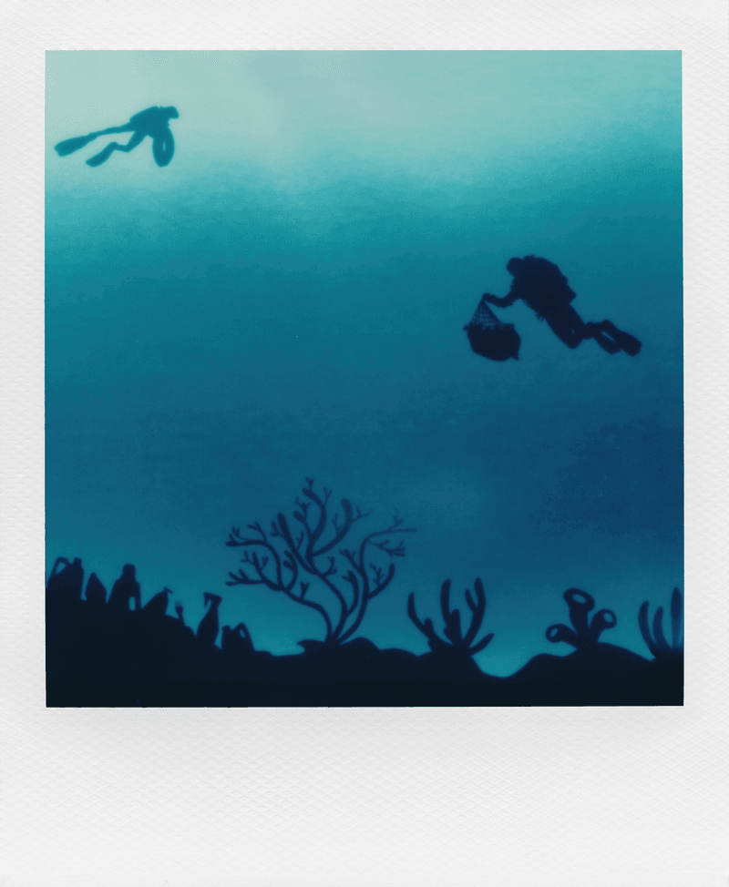 through the lens polaroid reclaimed blue 600 film Brian Slaghuis