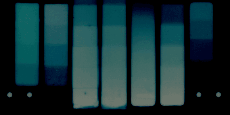 through the lens polaroid reclaimed blue 600 film Brian Slaghuis